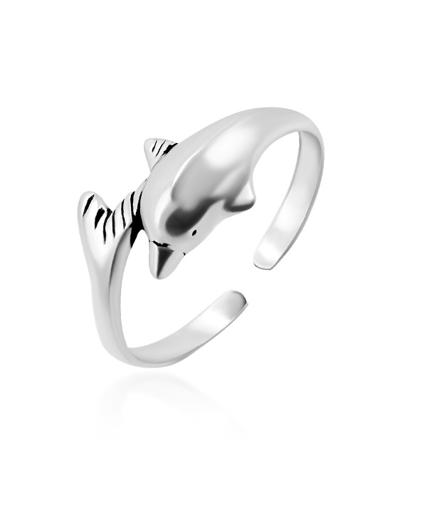 Plain 925 Sterling silver toering.