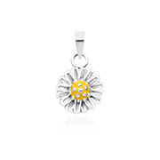 925 Sterling silver pendant with enamel color.